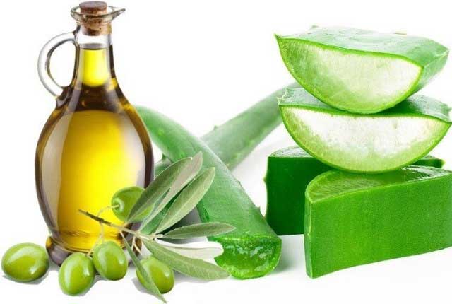 Pieces of aloe vera near glass jar of olive oil