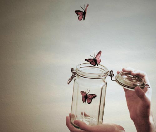 Butterflies flying out of a jar