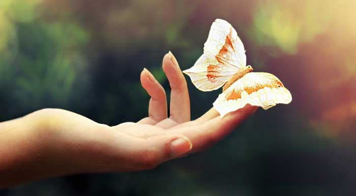 Butterfly sitting on a lady's fingers