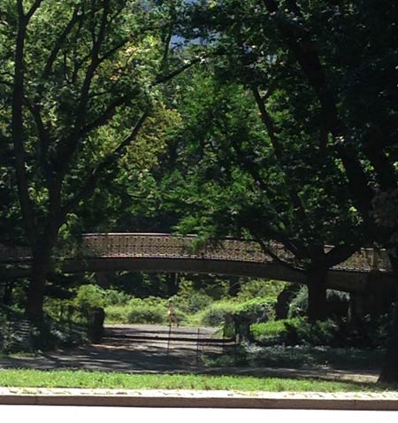 Central Park