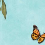 Butterfly emerging from a cocoon and flying away