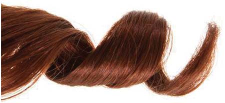 Strand of curly hair