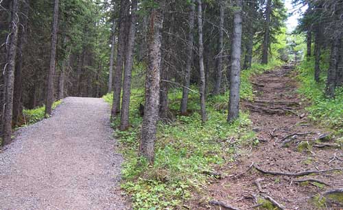Easy road and difficult road