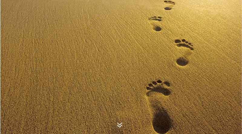 Footprints in the sand