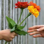 Hand giving flowers to another