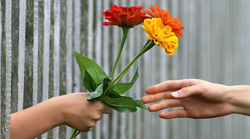 Hand giving flowers to another