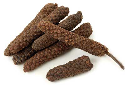 Indian long pepper