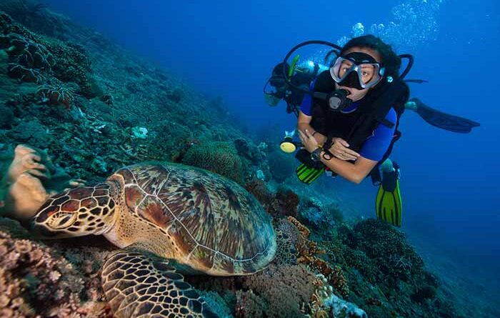 Marine biologist conducting studies underwater