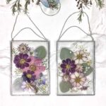 Framed pressed flowers
