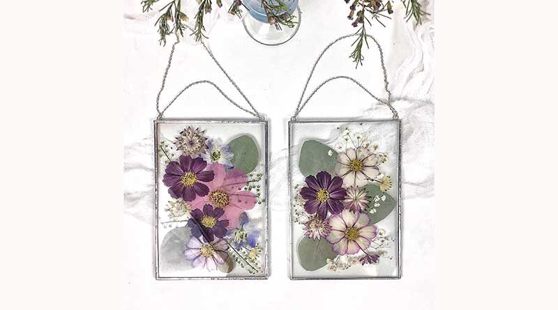 Framed pressed flowers