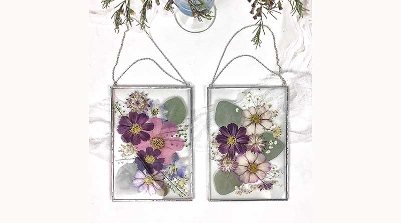 Framed pressed flowers