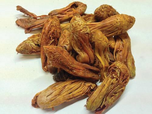 Rampatri anti-cancer drug