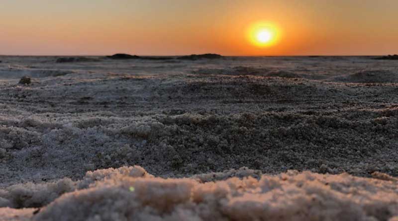 Rann of Kutch desert at sunset