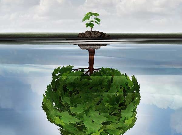 Reflection of sapling as a tree in the water signifying potential