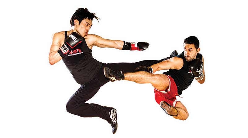 Savate martial artists in action