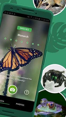 Seek by iNaturalist