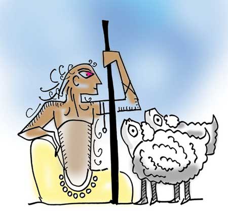 Shepherd with flock of sheep