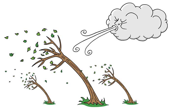 Illustration of trees bending in the wind