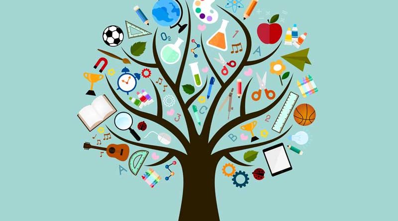 Vector study icons on the branches of a tree