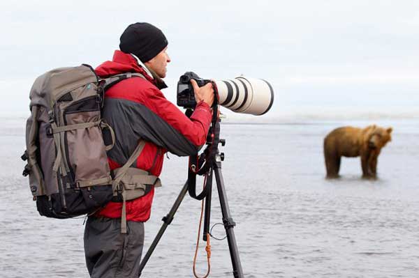 Photographer taking photo of a bear