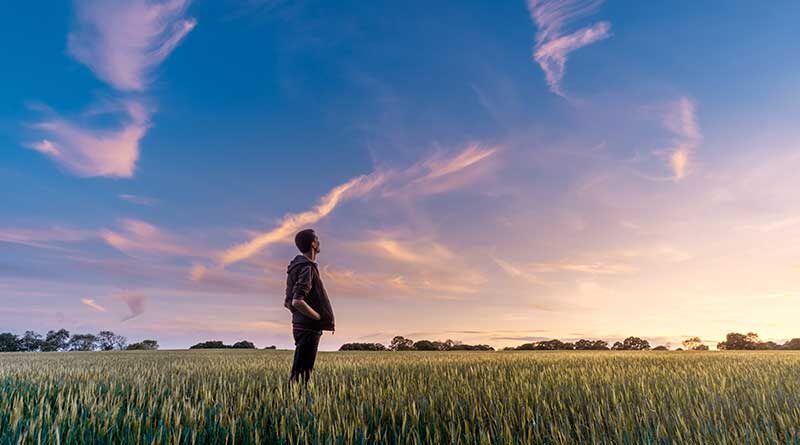 Young man standing in a field and looking up at the trails in the sky