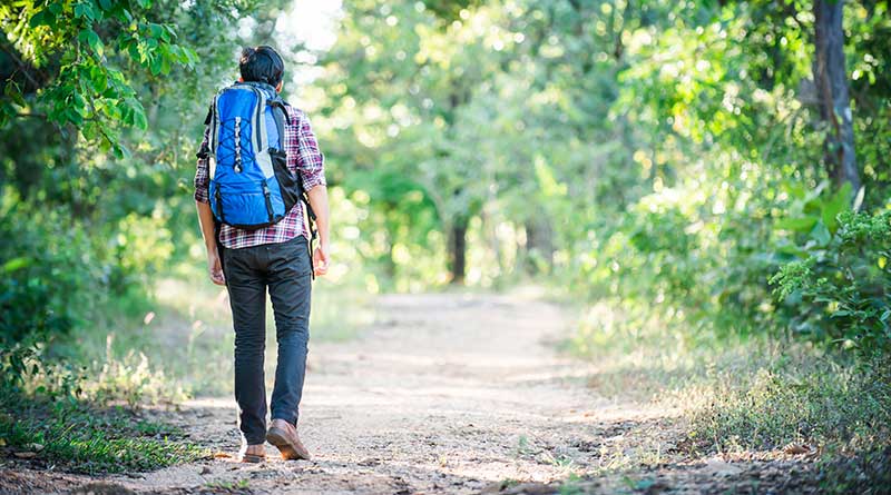 Young man trekking through a forest