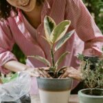 Young woman placing a plant in a pot