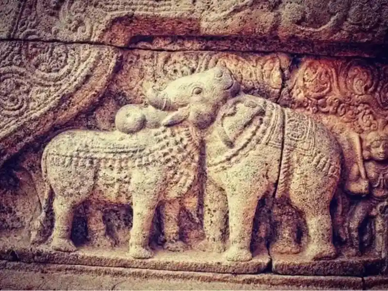 The rishabha-kunjara optical illusion in Airateswara Temple in Tamil Nadu.