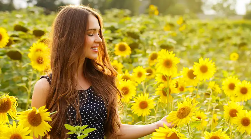 Girl walking in a field of sunflowers