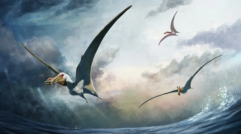 Haliskia peterseni pterosaur