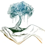 Girl's hand holding bonsai tree