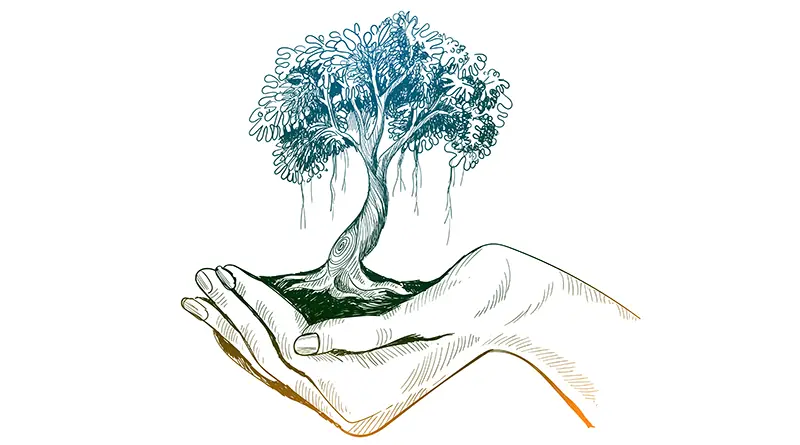 Girl's hand holding bonsai tree