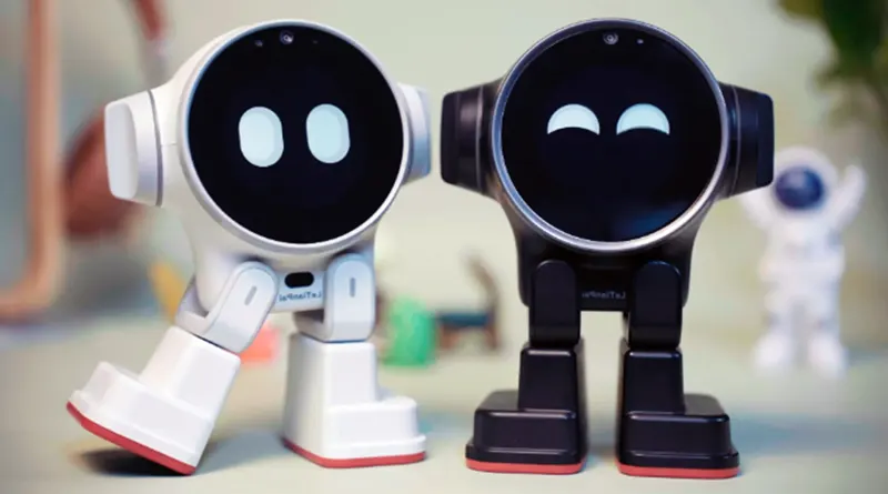 Two Rux robots in black and white variants standing on a desk side-by-side