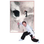 Martial artist demonstrating Shaolin Crane style