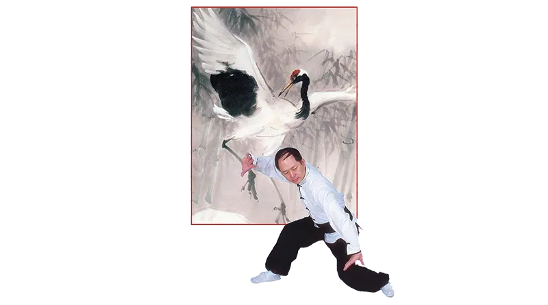 Martial artist demonstrating Shaolin Crane style